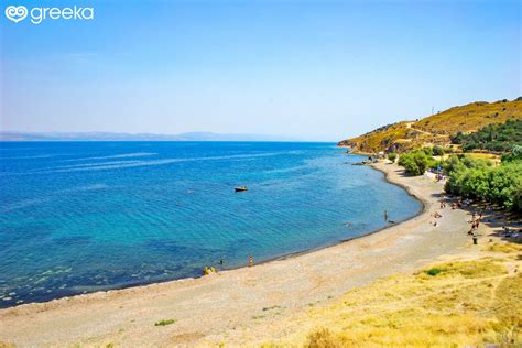 General Information and Reviews about Lesvos | Greeka