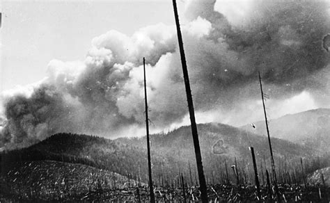 Tillamook Burn - Cannon Beach History Center & Museum