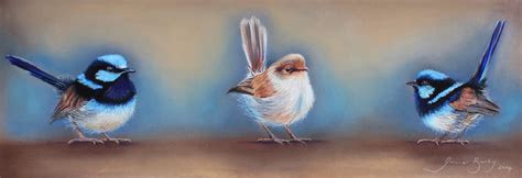 Three little wrens, by Joanne Barby PanPastel, Pastel and Pastel ...