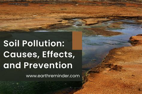 Soil Pollution: Causes, Effects, And Prevention Earth, 58% OFF