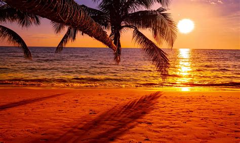 Sunset Beach Stock Photos, Images and Backgrounds for Free Download