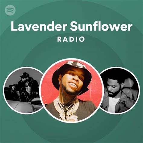 Lavender Sunflower Radio - playlist by Spotify | Spotify