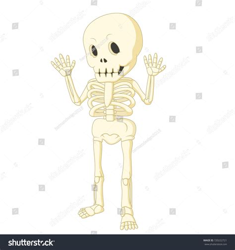 Vector Illustration Cartoon Funny Human Skeleton Stock Vector (Royalty ...