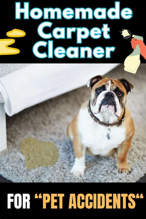 Powerful Homemade Carpet Cleaner for Pet Urine and Stains | Shiny Clean ...