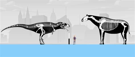 Based size comparisons 3.0: Mapusaurus and Paraceratherium | Fandom