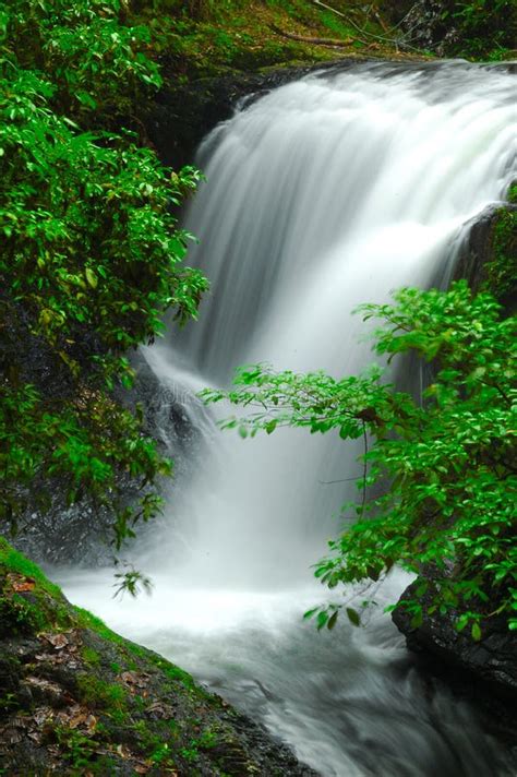 Waterfall stock photo. Image of mount, tropical, plant - 1519356