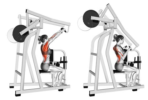 7 Best High Row Machine Alternatives (with Pictures!) - Inspire US