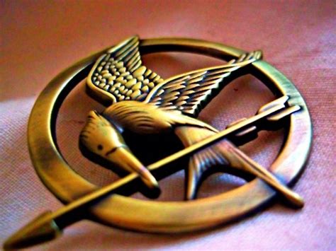 katniss everdeen, mockingjay and pin - image #488246 on Favim.com