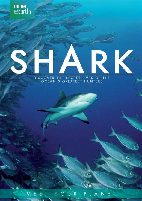 Shark documentary s - nmlasem