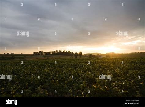 A farm field at sunset Stock Photo - Alamy