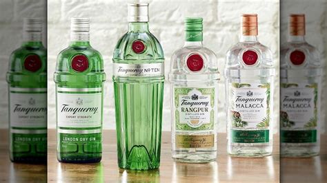 25 Popular Gin Brands, Ranked Worst To Best