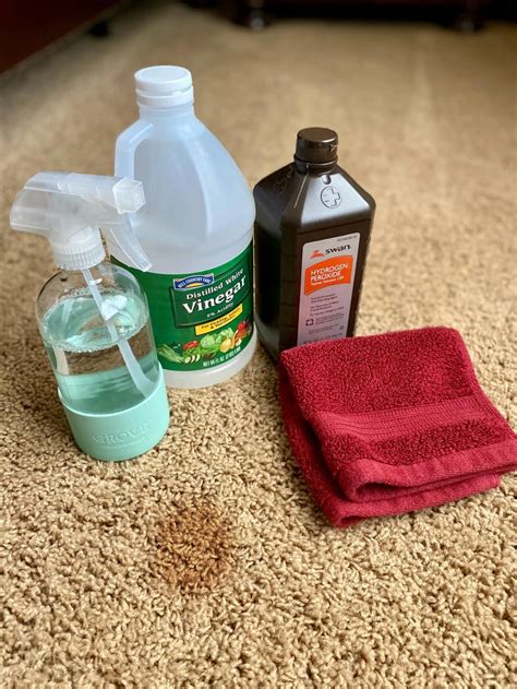 Homemade Carpet Cleaner (Just 2 Ingredients!) | Carpet cleaner homemade ...