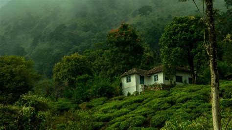 Kerala: Wayanad tops list of aspirational districts, according to Niti ...