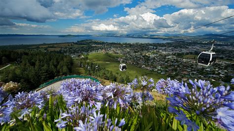 Skyline Rotorua Luge and Gondola | Rotorua NZ