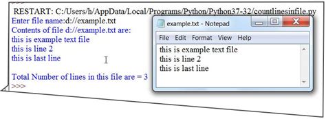 Count Lines in Text File Python Program | EasyCodeBook.com