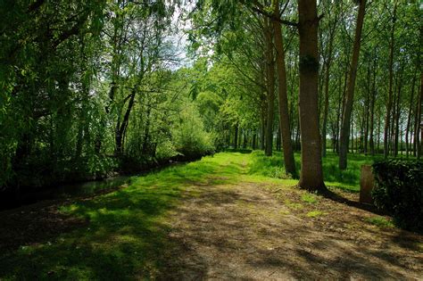 Vacances - Forêt de France ≡ Voyage - Carte - Plan