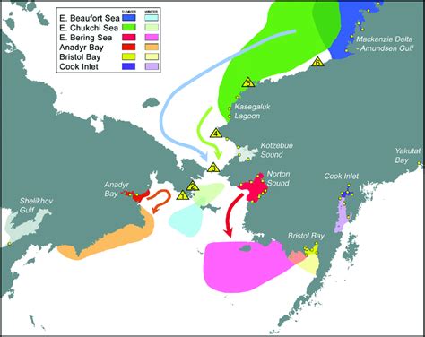 Whale Migration Routes