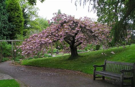 Birmingham Botanical Gardens: Everything You Need to Know