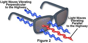 Polarized Light