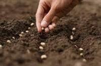 SOWING AND METHODS OF SOWING - Agriculture Wale