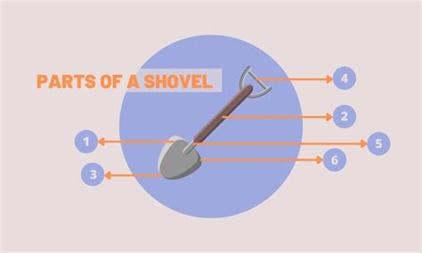 What Are The Different Types Of Shovels And Their Anatomy