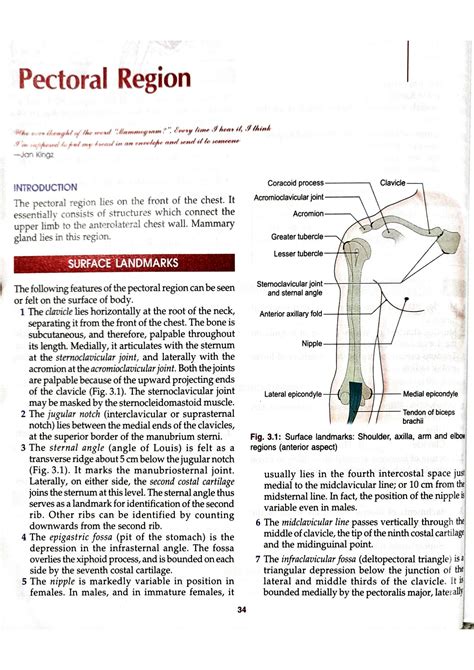 SOLUTION: Anatomy of pectoral region with images - Studypool