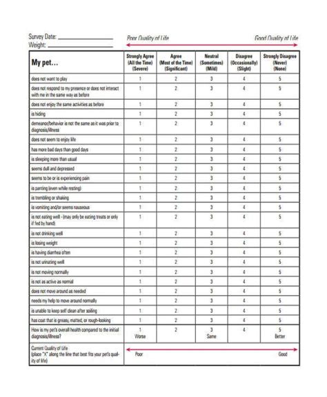 Medical Charting Templates