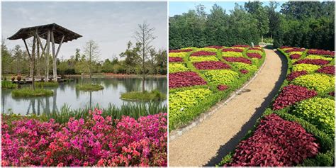 The Shangri La Botanical Gardens in Orange Texas Are Stunning - Narcity