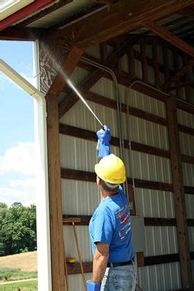 Controlling Paper Wasps in and Around Structures | NC State Extension ...