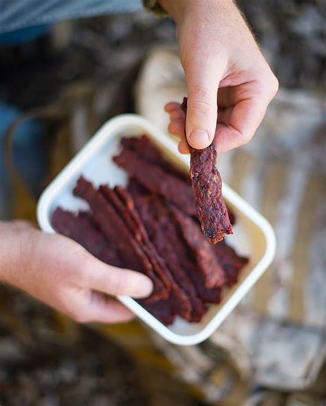 Venison Jerky Marinade From great sausage recipes and meat curing by