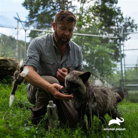 Ozark Howler - Endangered Wolf Center