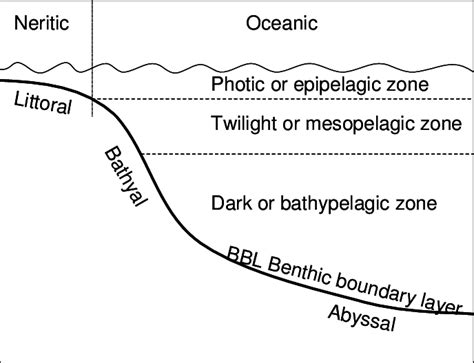 Habitat zones in the open ocean. | Download Scientific Diagram