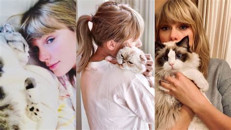 Taylor Swift Cats