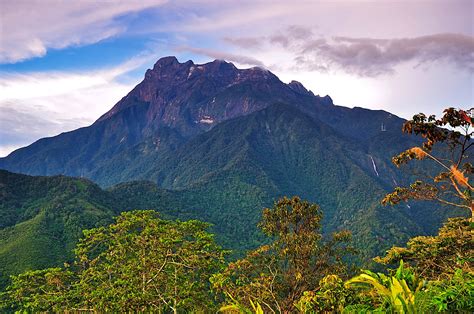 Climbing Mt Kinabalu, Borneo’s biological treasure trove - Lonely Planet