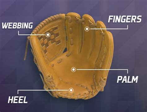 Baseball Glove Size Guide: Baseball & Softball Sizing Charts