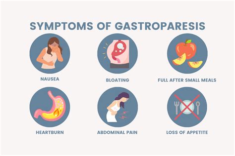 A Wellness Guide for Gastroparesis: Essential Resources, Information ...