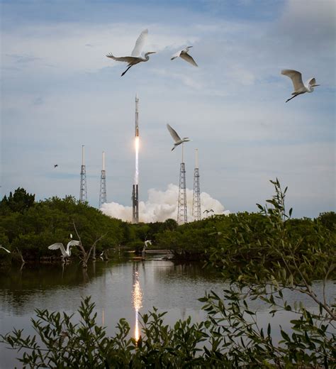 Taking Flight at Cape Canaveral | Cape canaveral, Nasa, Space photos