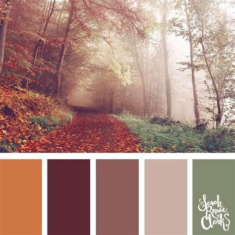 papierkunstde.com | Nature color palette, Fall color palette, Beautiful ...