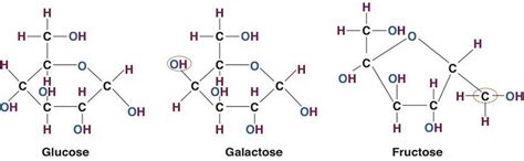 4.1: Introduction to Carbohydrates - Medicine LibreTexts