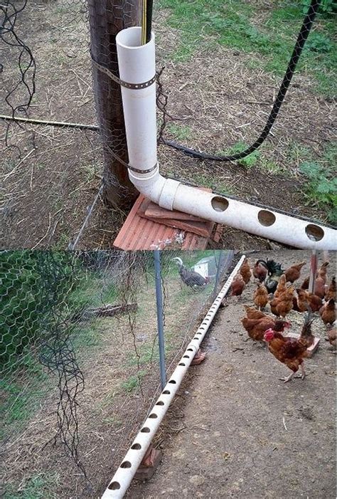 The Most Perfect DIY Chicken Feeder from PVC | Büyüyen tavuklar, Arka ...