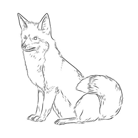 Fox Drawing Images - Free Download on Freepik