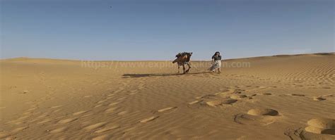 Never Miss 5 Desert in Pakistan - Thar Desert Pakistan - Cold Desert