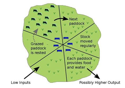 Benefits of Deferred Grazing on Native Pastures