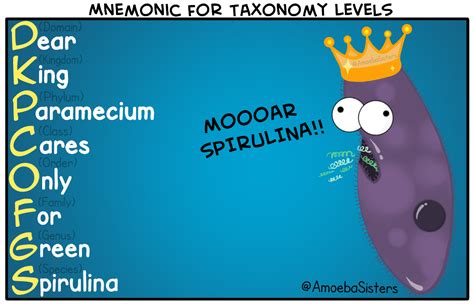 What's your favorite mnemonic for remembering the taxonomy levels in ...