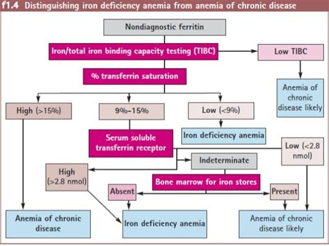 Clinical utility of serum ferritin