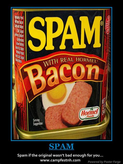 Spam Bacon | Hormel recipes, Bacon, Fast easy breakfast