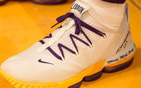 lebron james shoes 16 lakers,OFF 62%,www.concordehotels.com.tr