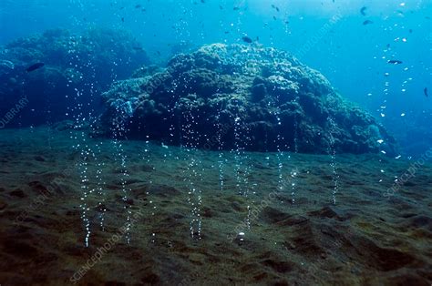 Exploring the Mysterious Deep Sea Vents