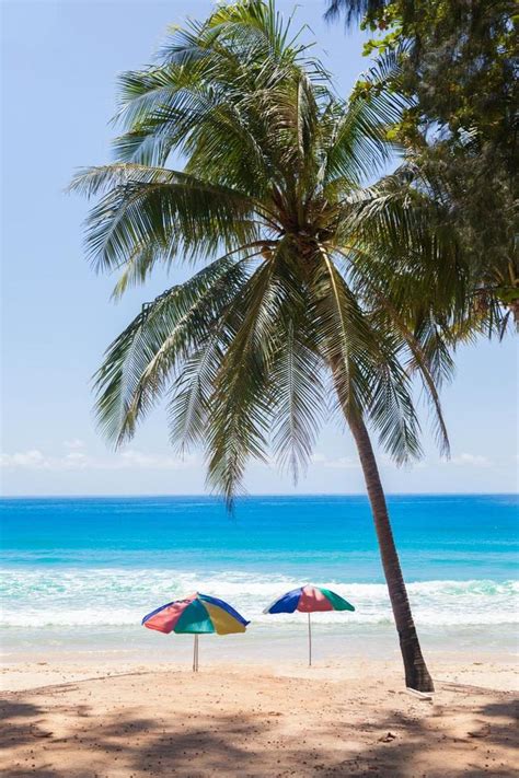 5 Best Spring Hill, Florida Beaches