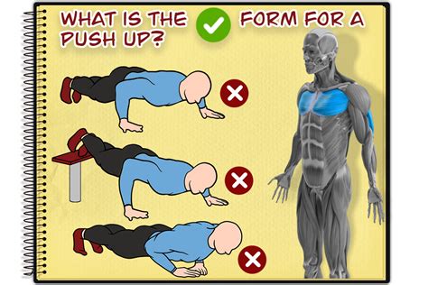 Push Ups Proper Form In 4 Simple Steps - Graduate Fitness